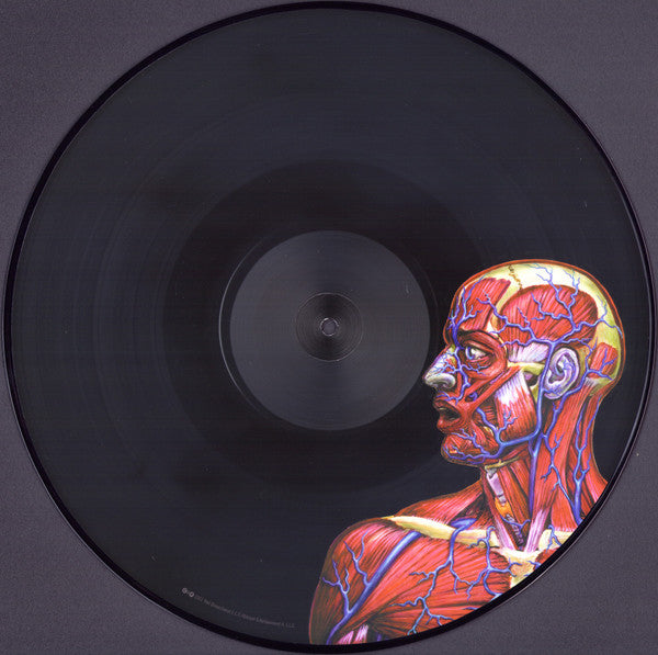 Tool (2) : Lateralus (2xLP, Album, Ltd, Pic, RE, 180)