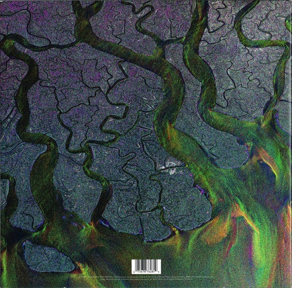 Alt-J : An Awesome Wave (LP, Album, Gat)